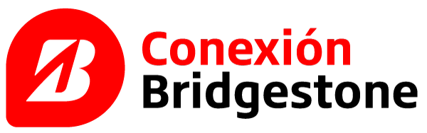 logo-conexion-bs